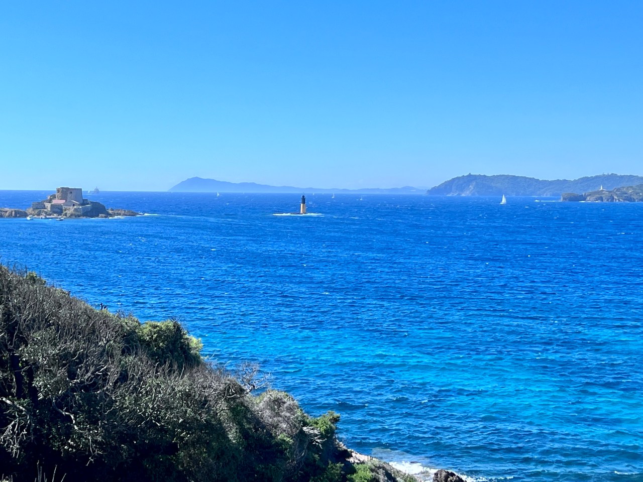 2022 í myndum (og kannski smá&nbsp;máli)